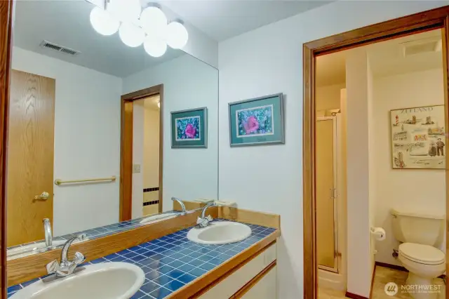 Lower floor full bath