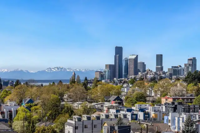 Usually captured only from a helicopter, these views of the Seattle city skyline, Puget Sound and the gorgeous Olympic Mountain Range are a treat in every season