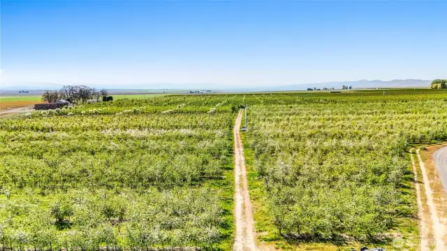 14 acres of organic apples
