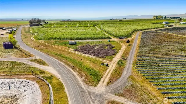 You'll approach the orchard from this angle and, with authorization, pull into the dirt driveway that parallels the gravel road on the right. This corner piece is perfect for a home.