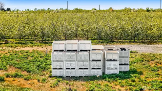 Apple bins for harvesting