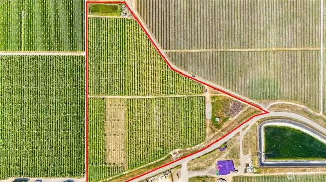 The orchard and pond are in the red outline