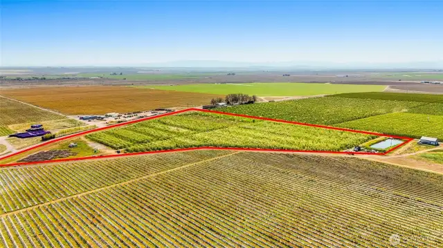 The orchard and pond, and homesite on the far left corner are outlined in red.