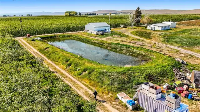 Irrigation water from the South Columbia Basin Irrigation District flows into this pond and into the underground pipes in the orchard for micro-sprinkler watering.