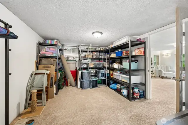 Flex space off family room could be gym, office or craft/play room