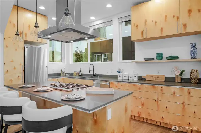 Sleek Kitchen with custom built euro-plywood cabinets