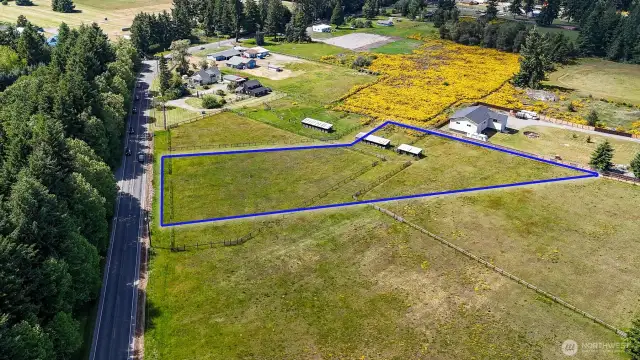 Partially fenced with animal shelters already built, the journey to your homesteading lifestyle has begun! Blue boundary lines are approximate. Buyer to verify to their own satisfaction.