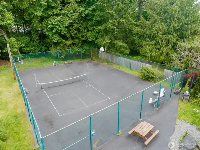 Public pickleball courts