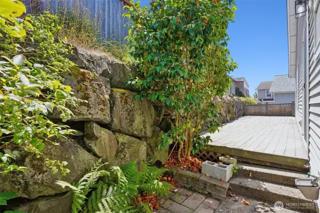 Tidy and manageable backyard with composite deck