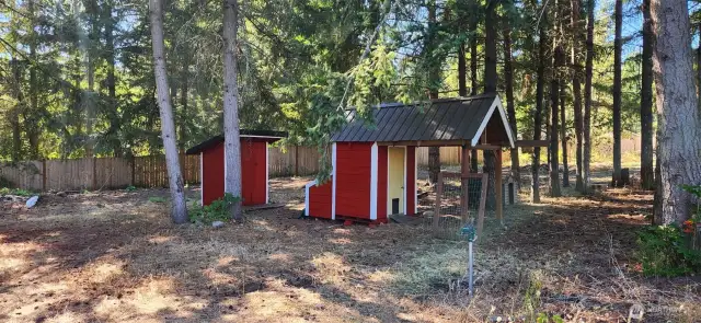 Bring your chickens!