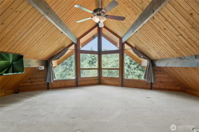 Primary bedroom, vaulted ceilings, huge windows