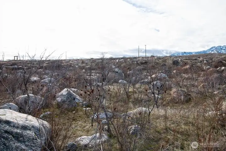 Boulders deposited by ancient floodwaters are abundant on the surface. Prior excavations in the neighborhood indicate they are not so dense below the surface - great news for site work!