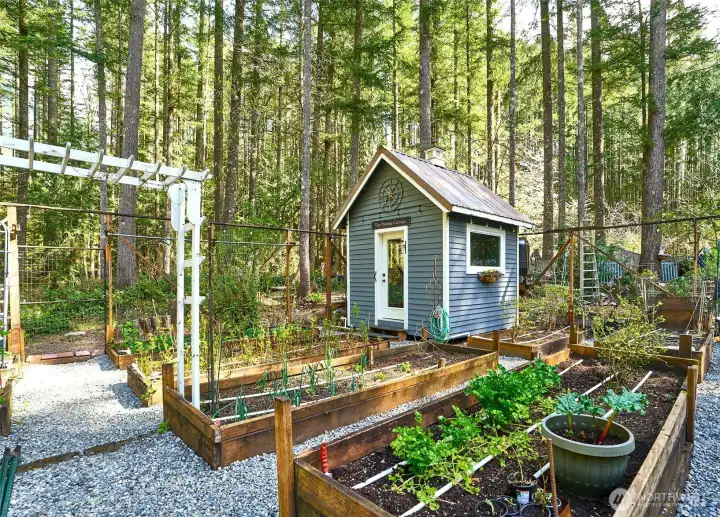 Lovely view of the garden area inside the fencing featuring raised beds  showcasing the watering system and the charming potting cottage—an ideal setup for gardening enthusiasts.