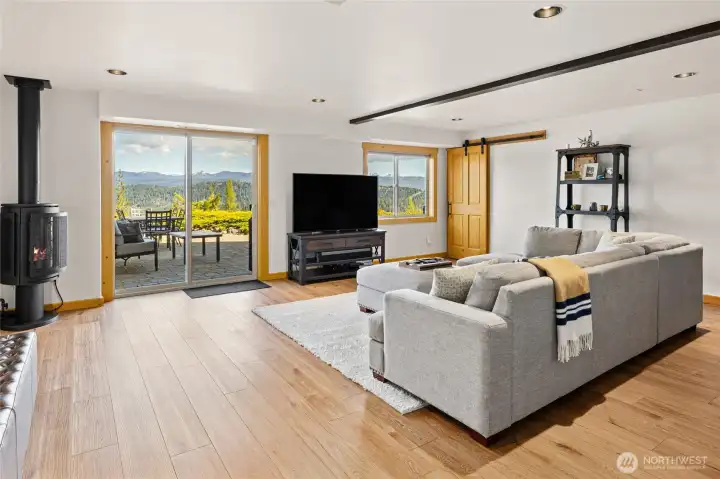 Daylight Basement Rec Room