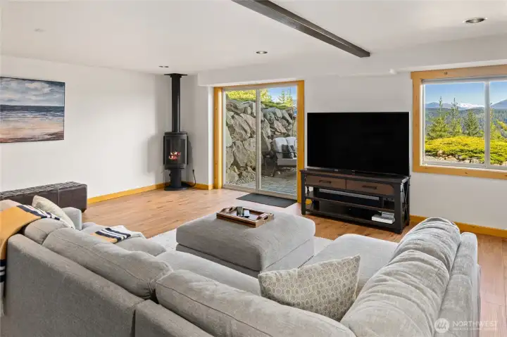 Daylight Basement Rec Room