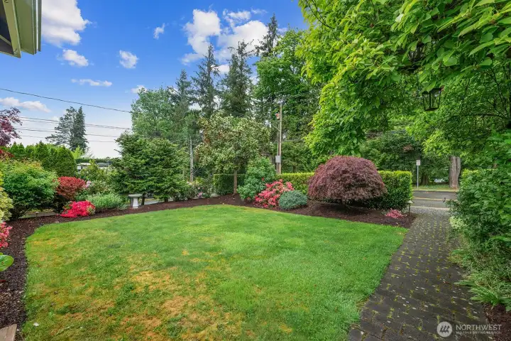 Front Yard