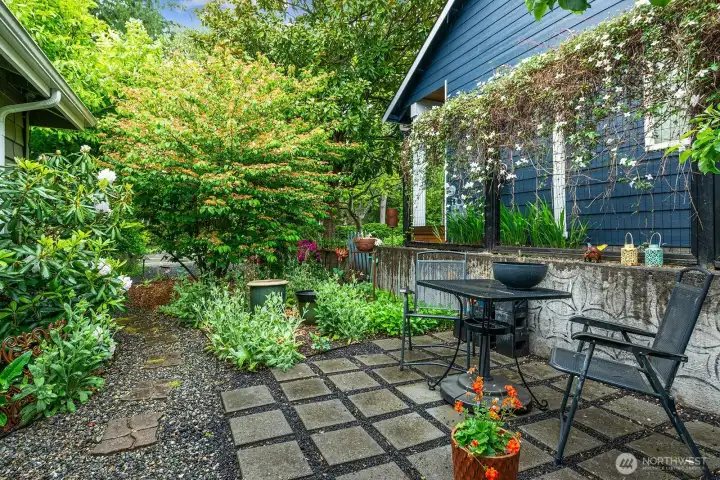 Side Yard