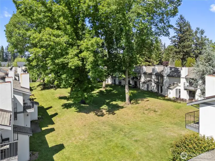 Inner courtyard with mature trees and rolling grass