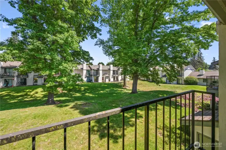 Tranquil park-like views from the unit, overlooking the expansive, green grassy interior courtyard lined with mature trees