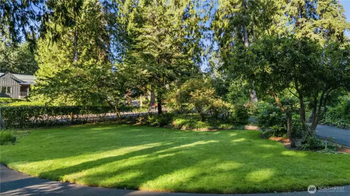 Large Front Yard