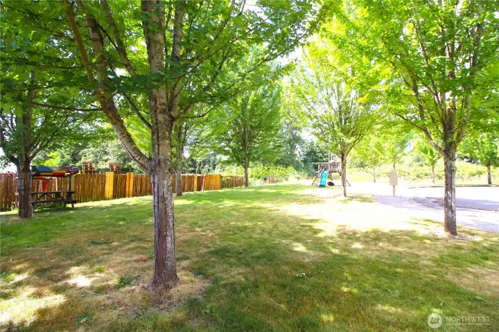 Playground accross from the house