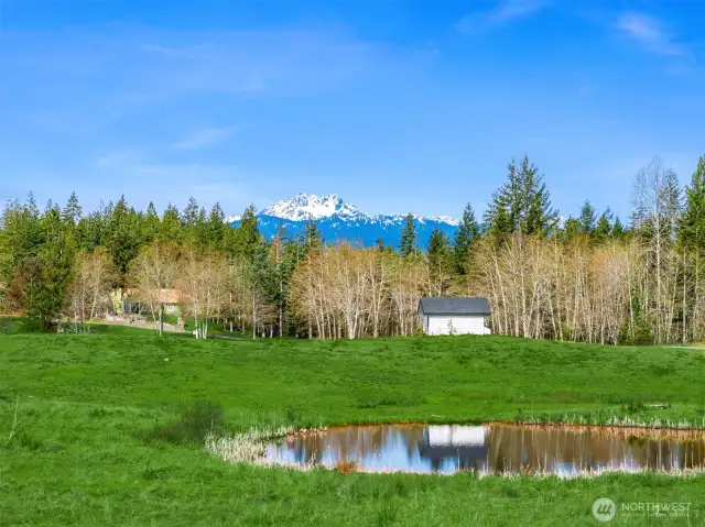 The Olympic Mountains frame this pastoral view with well pump house and small goose pond.