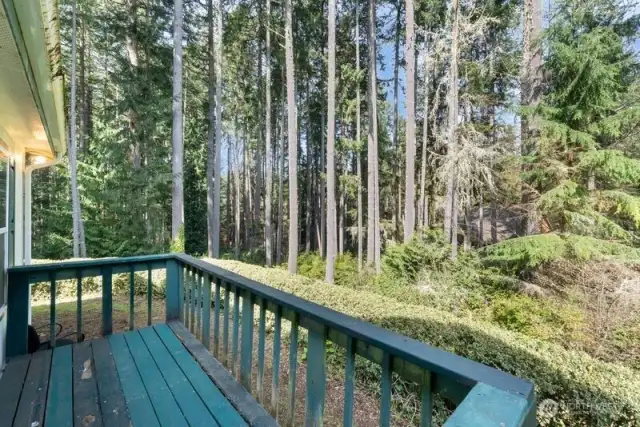 Back Porch