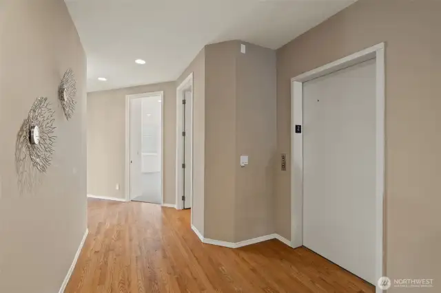 Main Suite