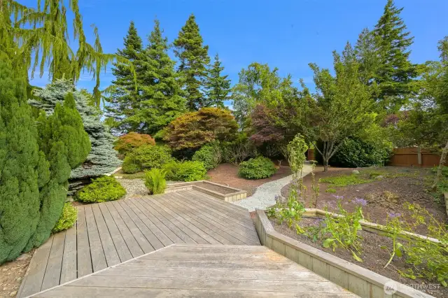 Tons of garden space, lots of flowering rhodys