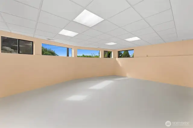 Lower level bonus room