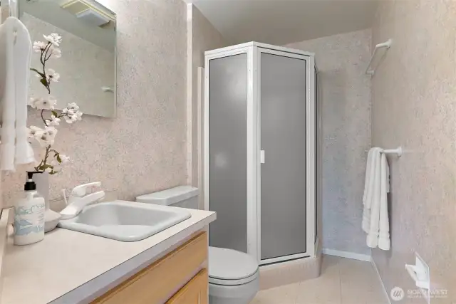 Lower level 3/4 bath