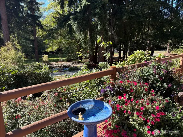 West side of home features a long, and wide deck overlooking gorgeous grounds.  These yellow rubber ducks agree.