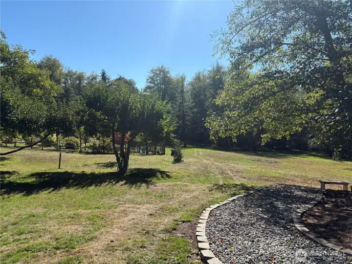 Sunny & bright yet ringed by evergreens and deciduous trees around property borders.