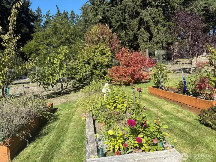 Notice the sturdy deer fencing surrounding these garden beds.
