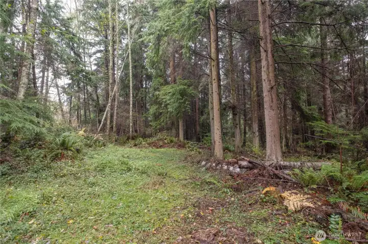 Beautiful 2.5 acre back lot with cedar and fir trees. Plenty of space for a new structure.
