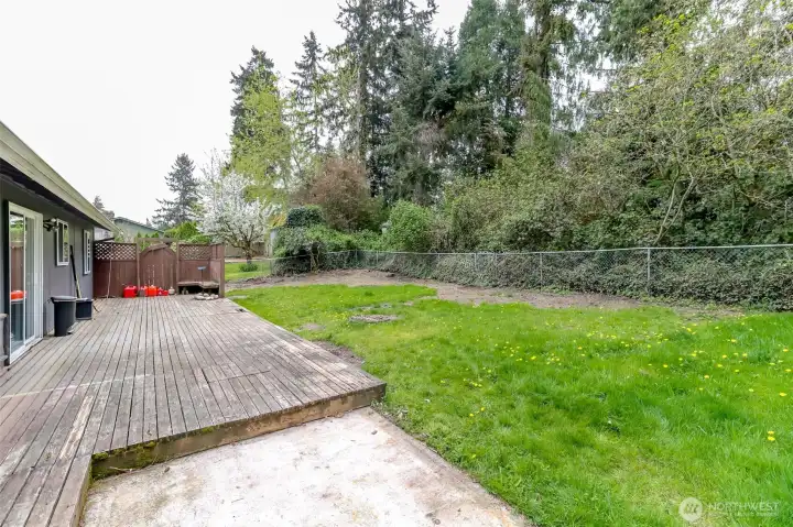 View of deck and back yard