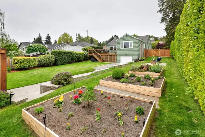 Wonderful garden beds for growing vegetables and herbs.  This area gets lots of sunshine.