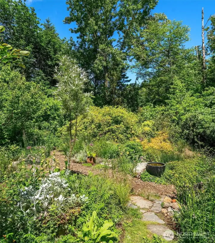 Owner is an award winning garden designer who created many edible perineal veggies in his personal gardens. Owner is an award winning garden designer who created many edible perineal veggies in his personal gardens.