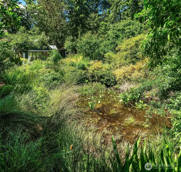 They dug a pond that fills up in the winter months and dries to a marshy meadow in the summer. They dug a pond that fills up in the winter months and dries to a marshy meadow in the summer.