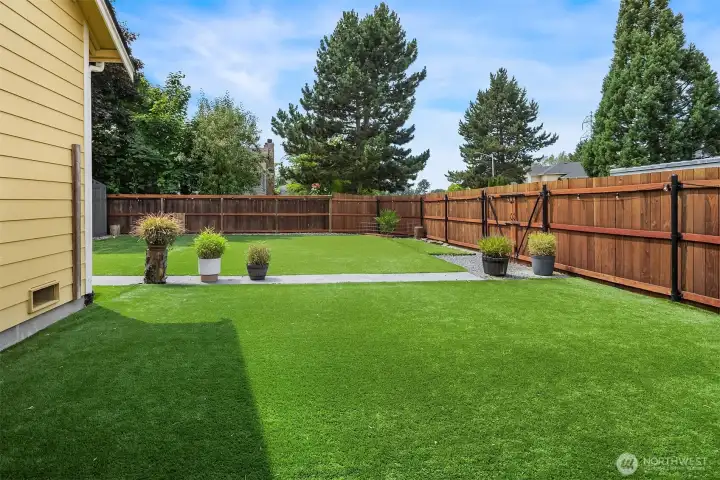 Side yard with artificial turf.