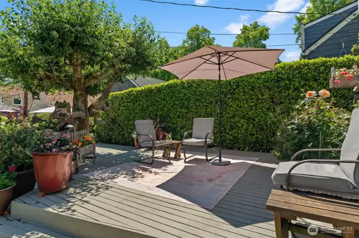Enjoy the sprawling deck that wraps beautifully around the gorgeous tree centerpiece. Enjoy the sprawling deck that wraps beautifully around the gorgeous tree centerpiece.