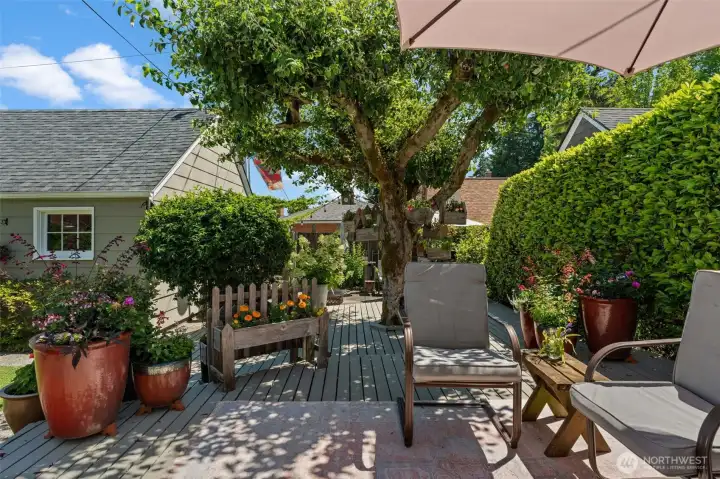 This lovely backyard offers a seamless transition from the deck down to the patio, all framed by a charming garden space. This lovely backyard offers a seamless transition from the deck down to the patio, all framed by a charming garden space.