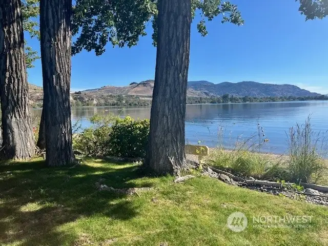 4 large trees to offer afternoon shade