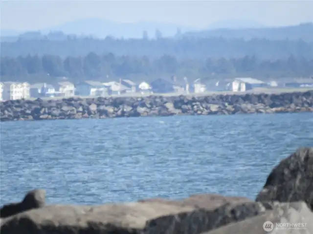 RELAX ON THE DECK AND WATCH FISHING VESELS GO IN & OUT OF THE WESTPROT DOCKS!