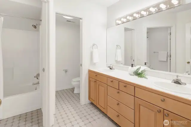 Lower level full bathroom
