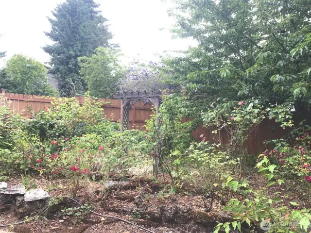 Garden Area