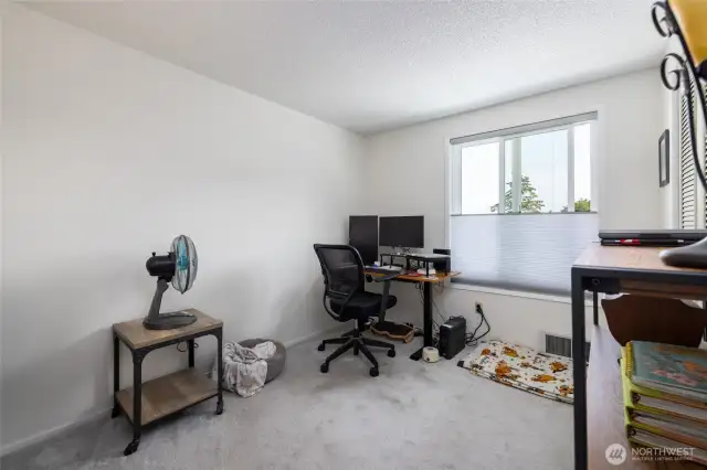 Bedroom-flex space at the end of the hall that is currently being used as as an office.