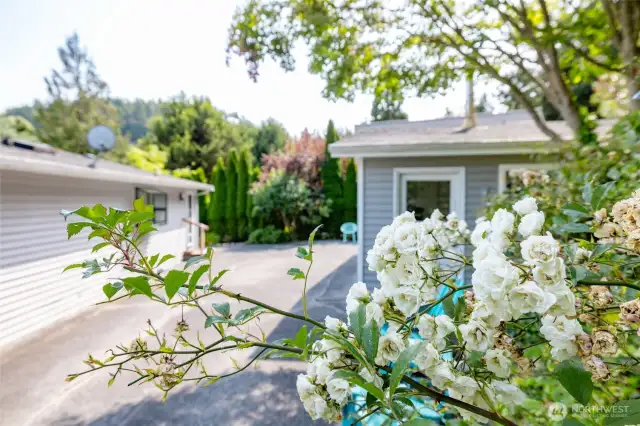 Wonderful vegetation surround the home.