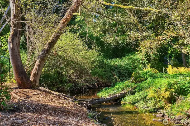 Thornton Creek