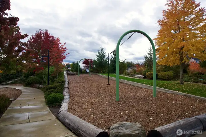 Zip line, fun for all ages!